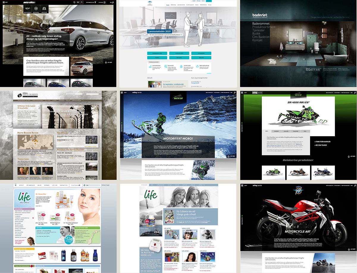 Examples of web design created by Solve Stjernvik Designreaktor