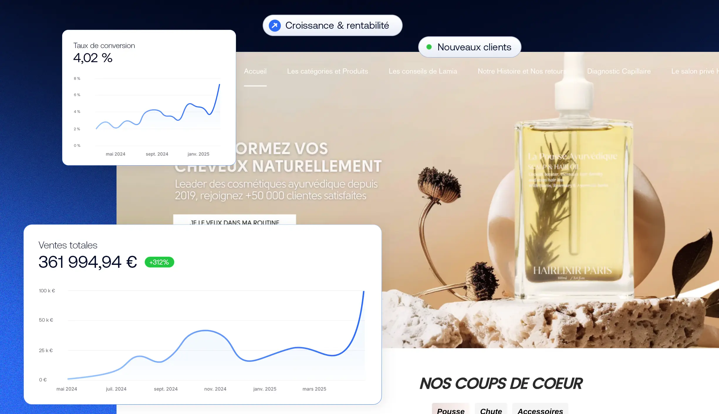 Analyse de marque e-commerce et stratégie d'acquisition Meta Ads