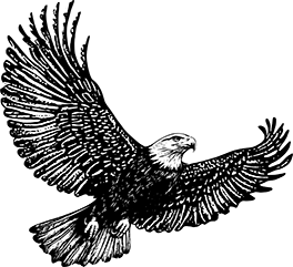 Silhouette of a bald eagle head facing left.