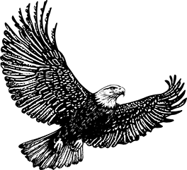 Silhouette of a bald eagle head facing left.