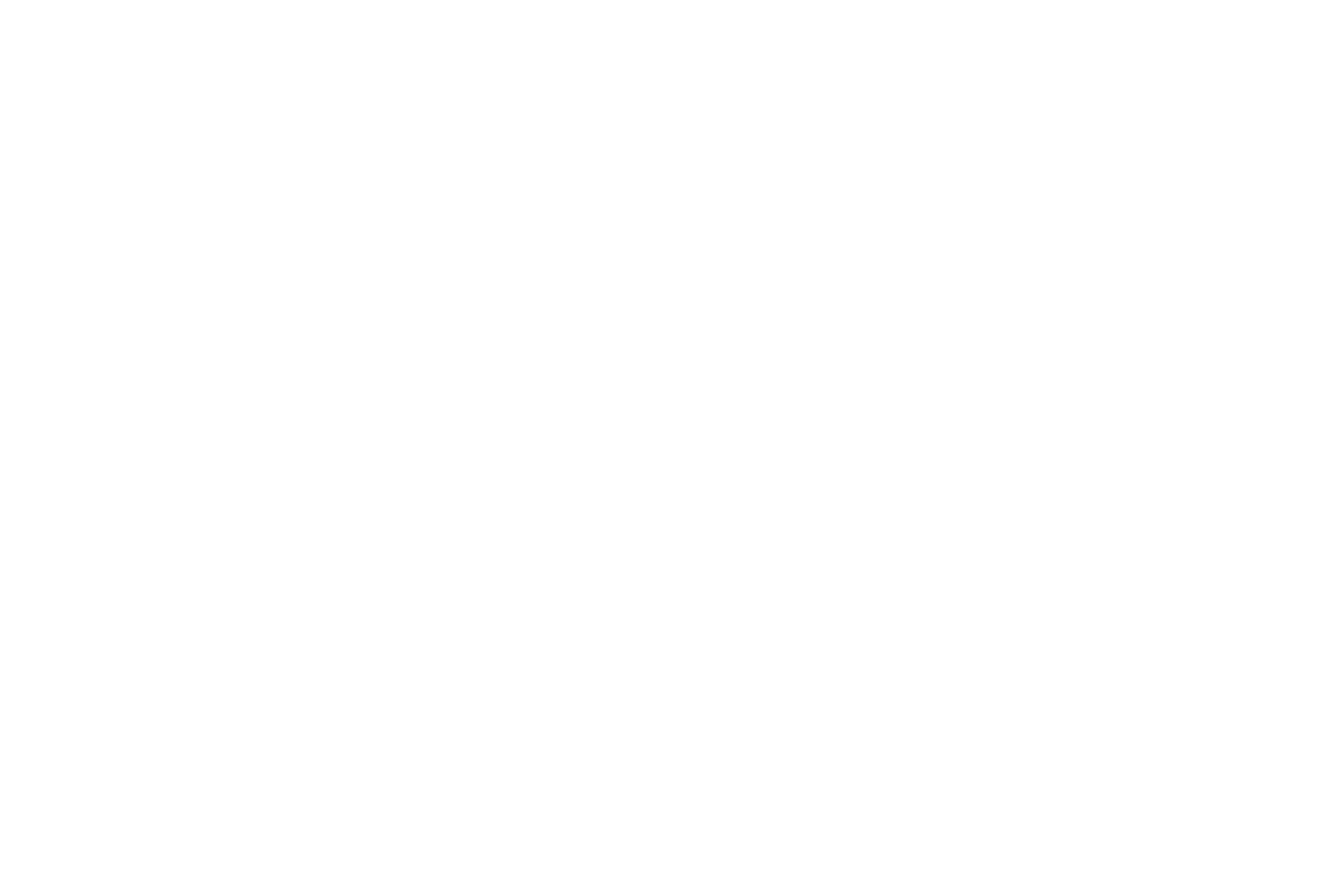Logo Placeholder