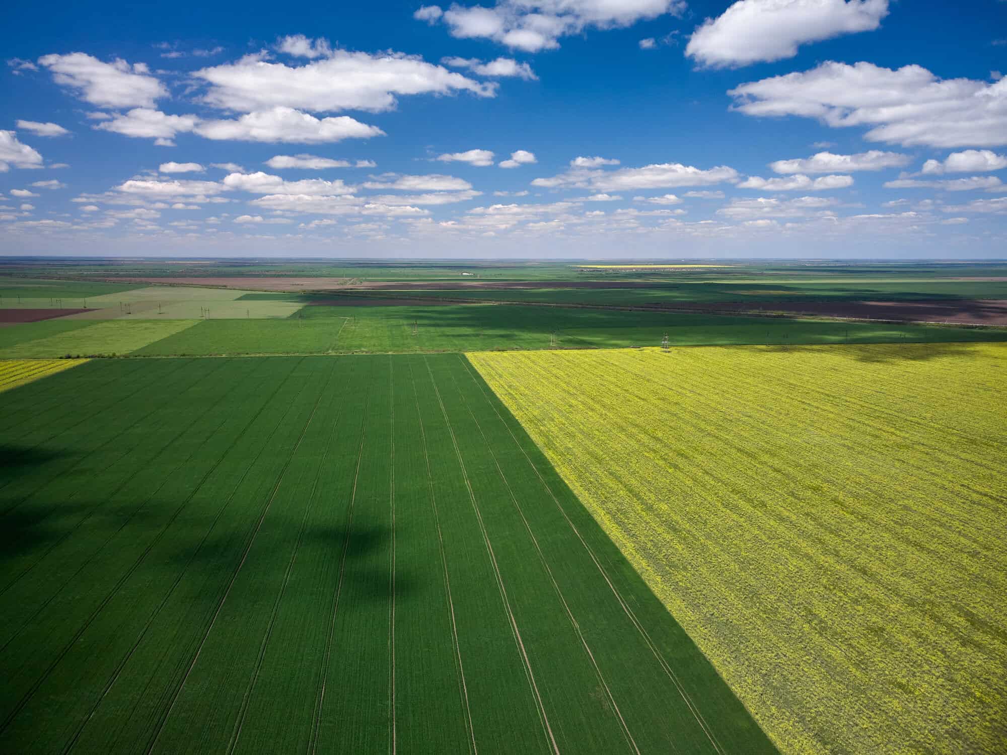 Aerial view of large green and yellow farmland fields under a partly cloudy blue sky.