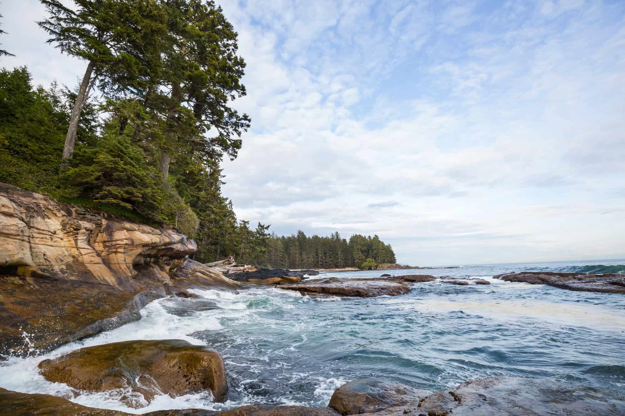 Rocky coastline with evergreen trees and waves crashing under a partly cloudy blue sky.