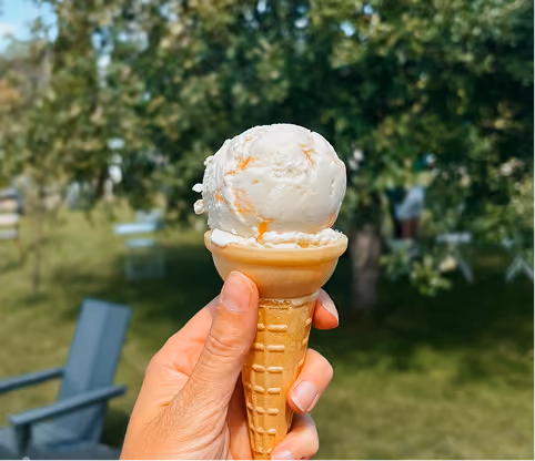 Hand holding a single scoop of white ice cream in a waffle cone outdoors with trees and a chair blurred in the background.