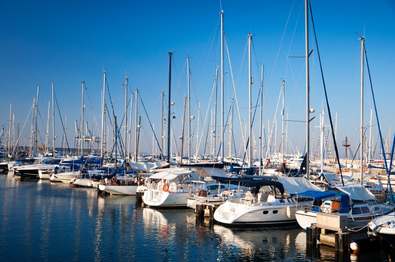 Rows of sailboats docked in a marina under a blue sky