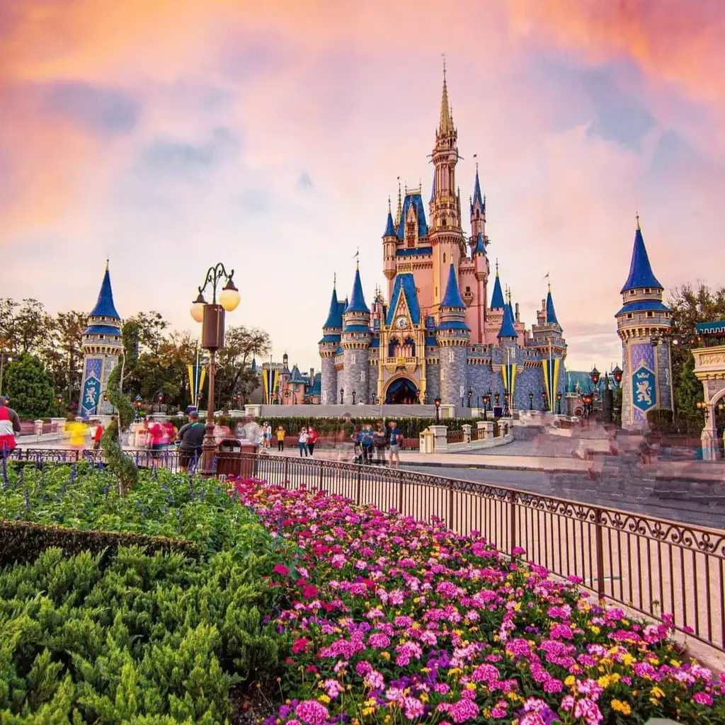 Disney & Universal