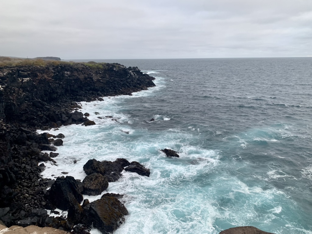 Black lava cliffs and surf along the Galapagos coast