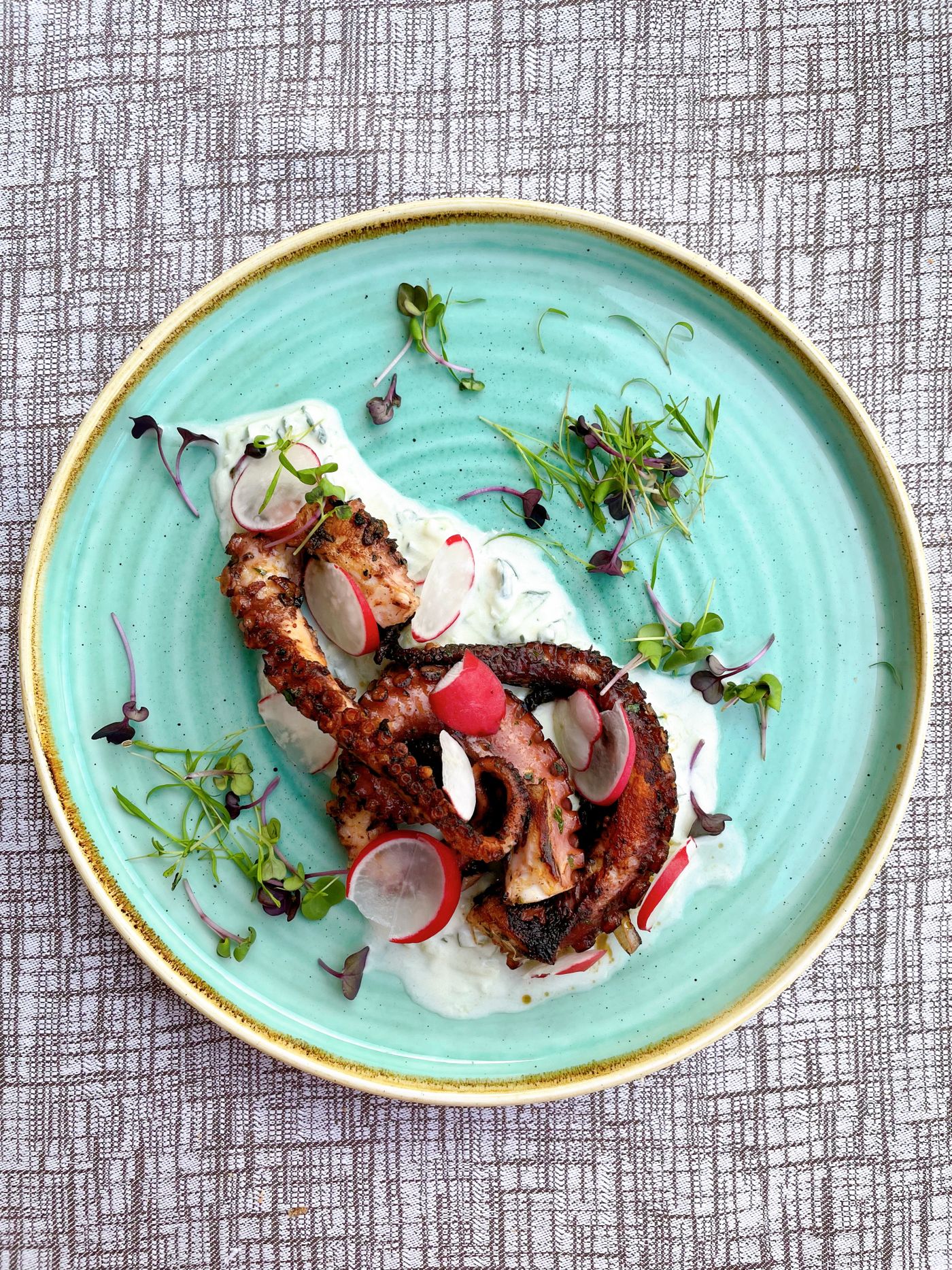 Grilled octopus with radish and herbs on a turquoise plate