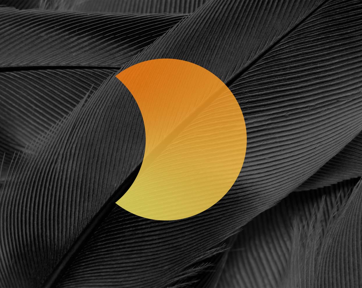Orange and yellow crescent shape overlay on close-up black feathers background.