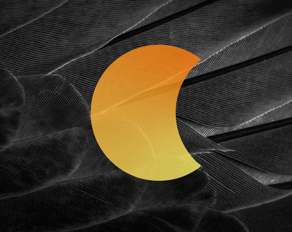 Orange crescent overlay on close-up black feathers background with detailed texture.