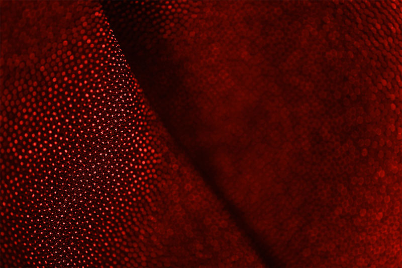Dark red night sky filled with numerous small white stars scattered across.