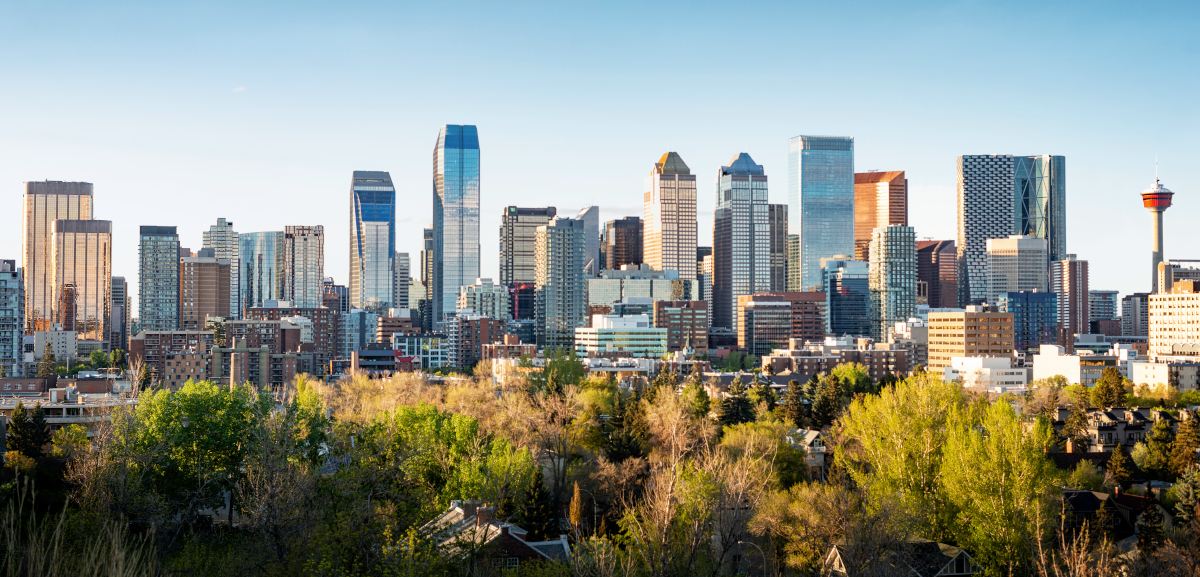 Calgary - Web Tonic Office