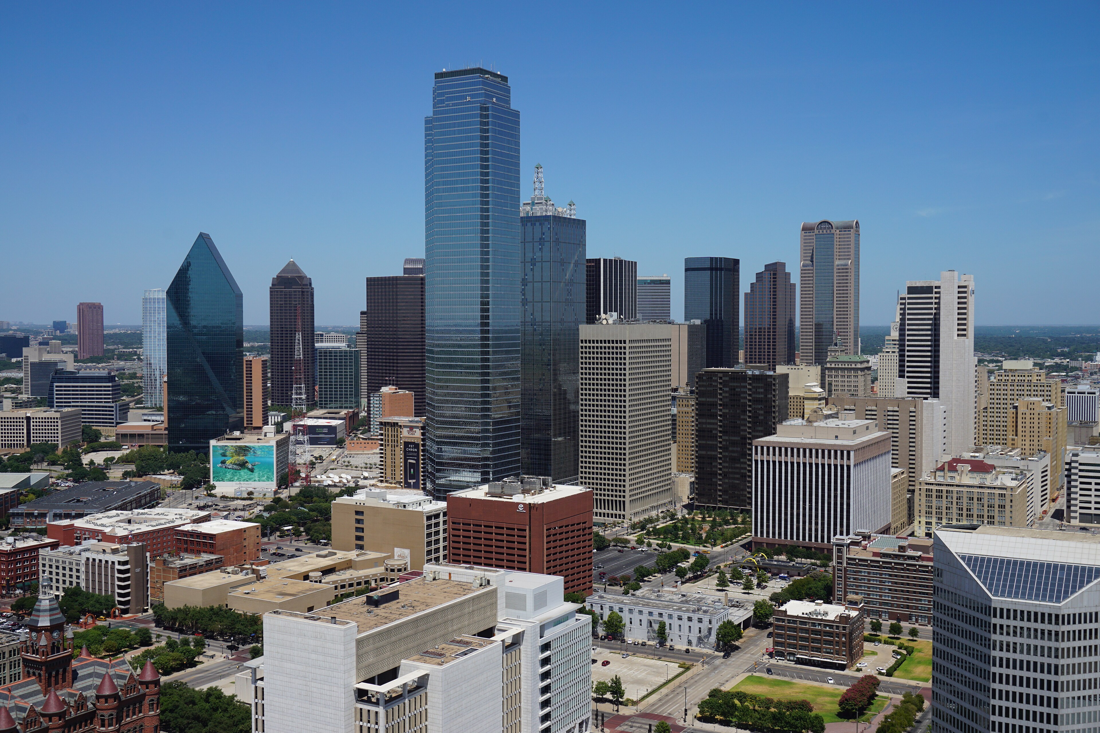 Dallas - Web Tonic Office