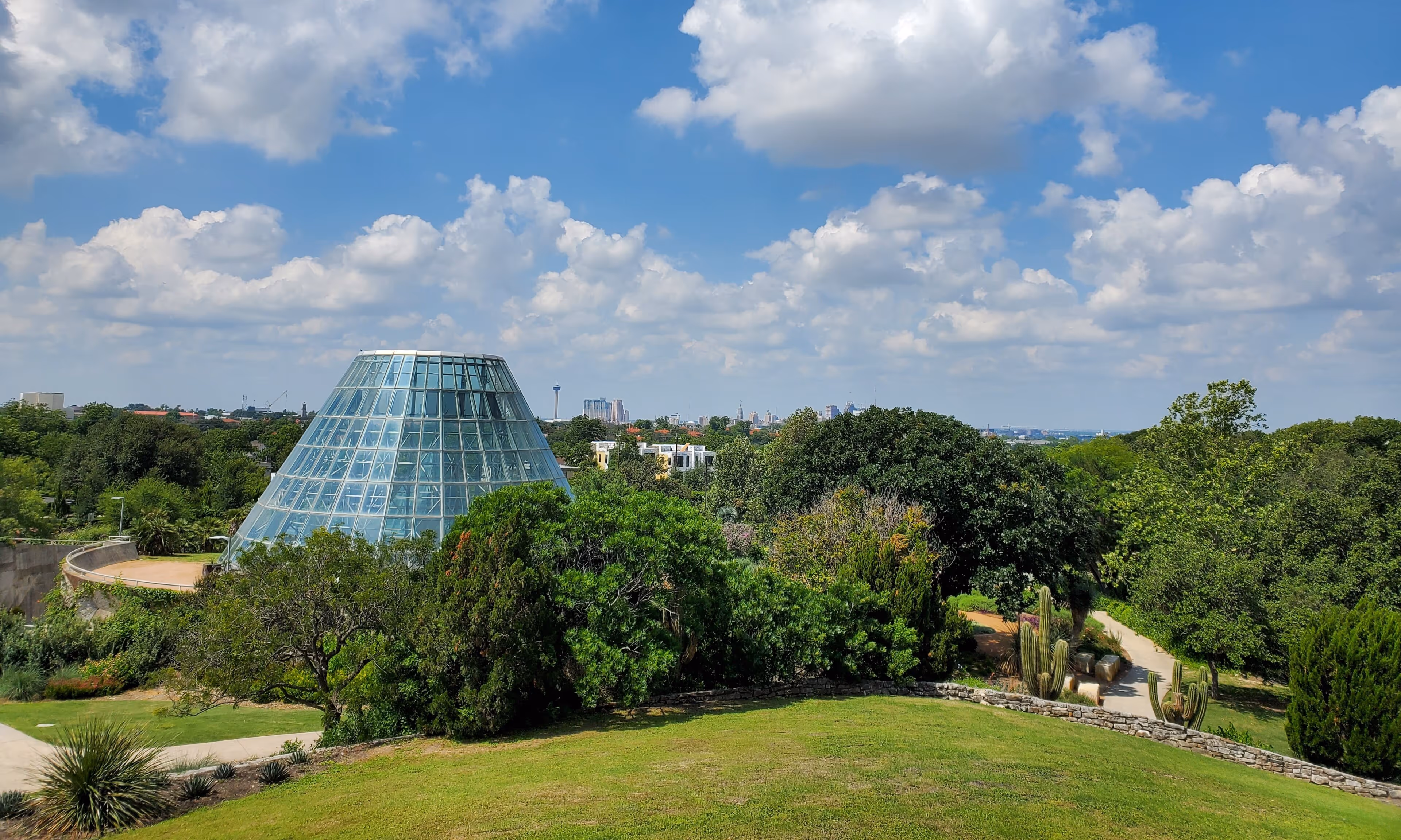 San Antonio - Web Tonic Office