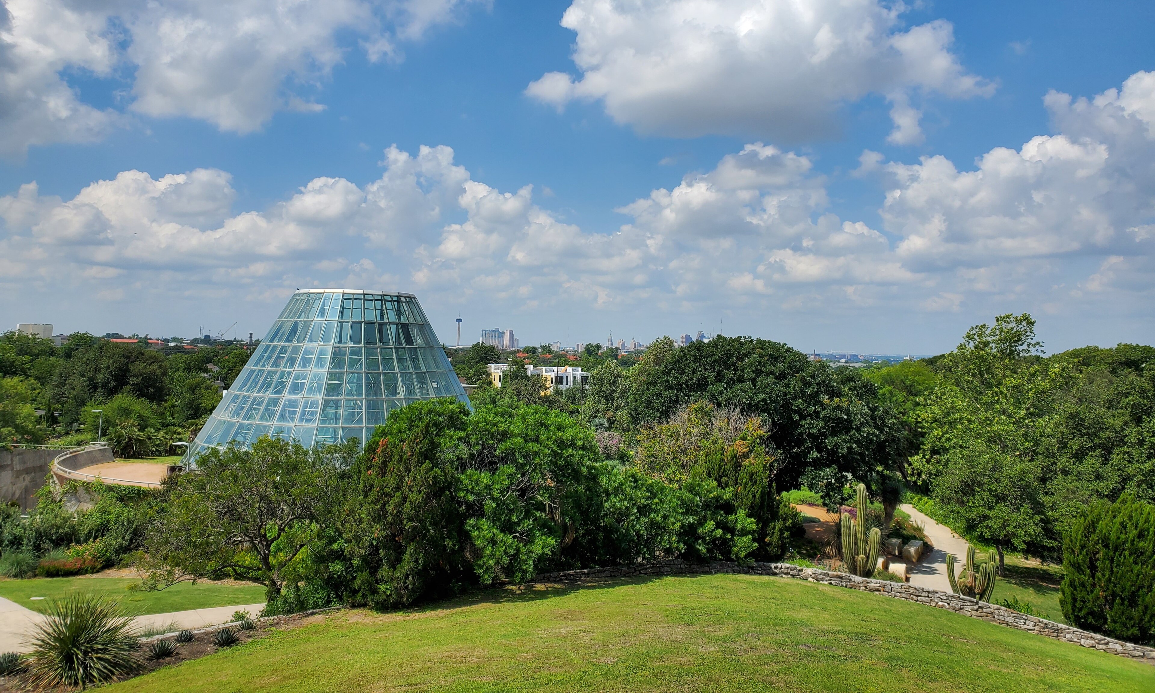 San Antonio - Web Tonic Office