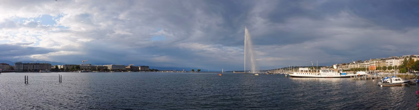 Geneva - Web Tonic Office