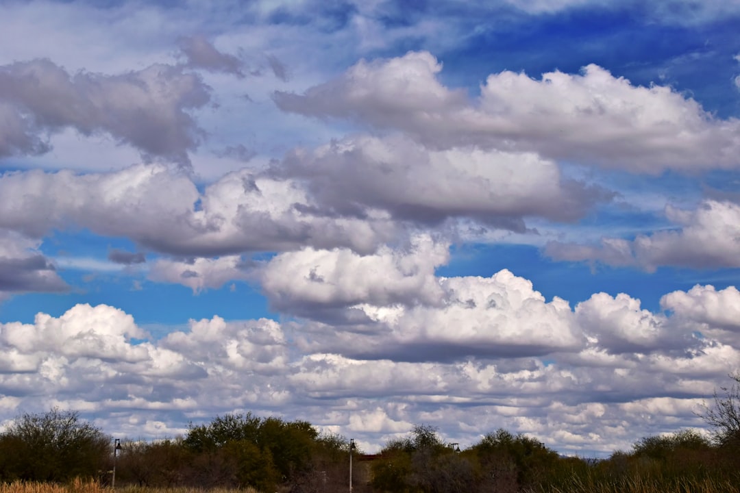 Chandler city photo — Web Tonic