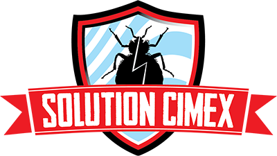 Solution Cimex logo