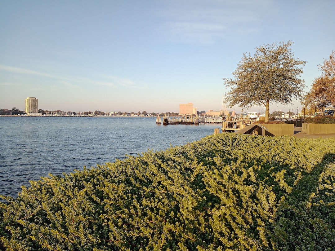 Norfolk city photo — Web Tonic