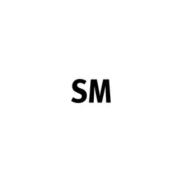 Sert Media Logo