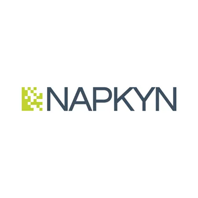 Napkyn Logo