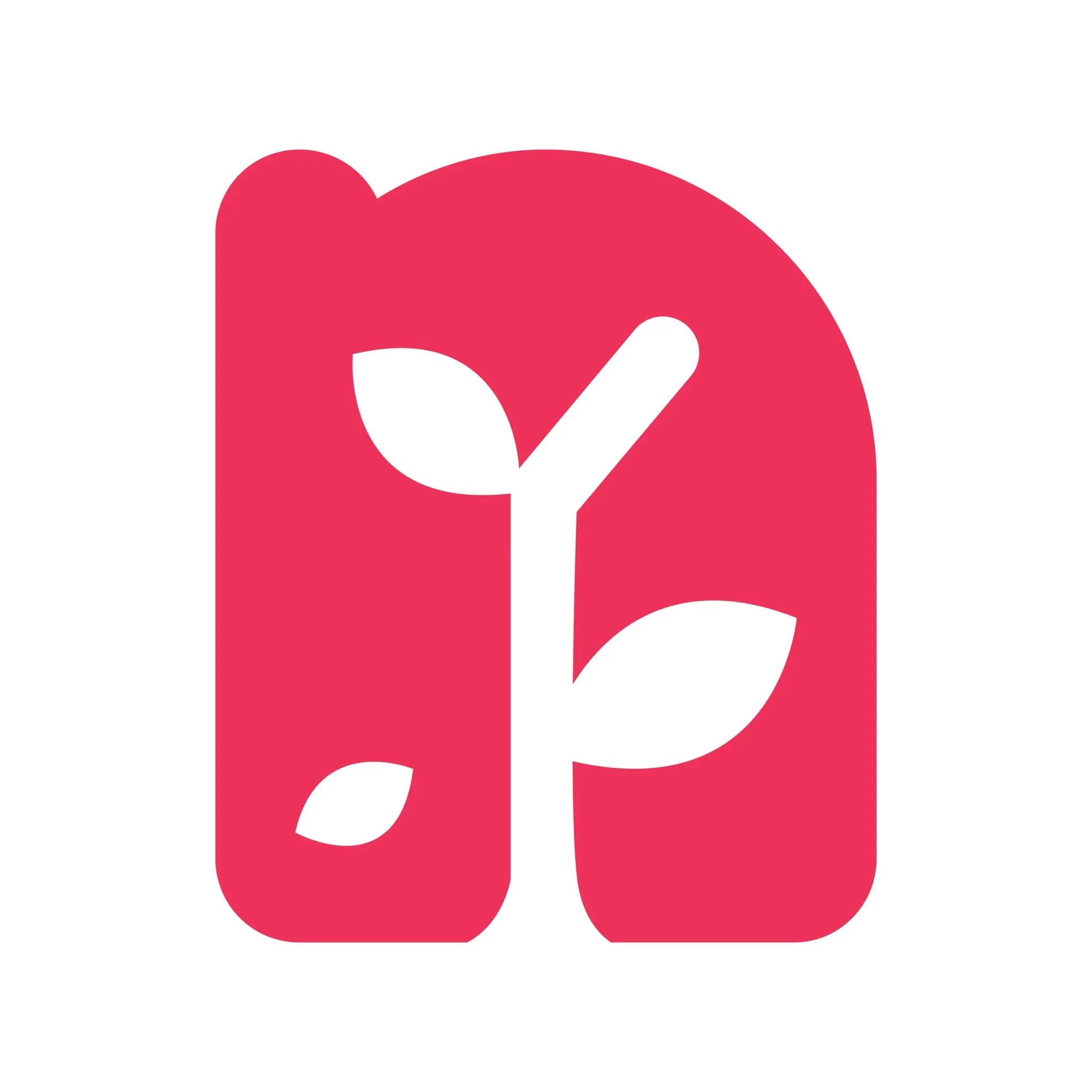 Nexa Growth Logo