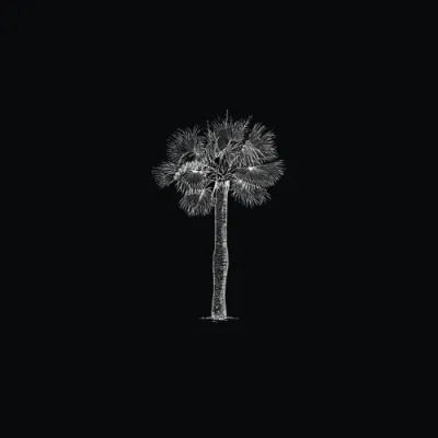 Palm Tree Pod Co Logo
