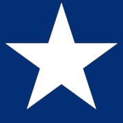 WP ALLSTARS Logo