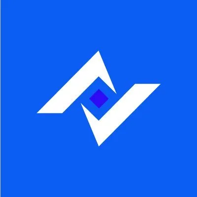 Paladin Digital Marketing Logo