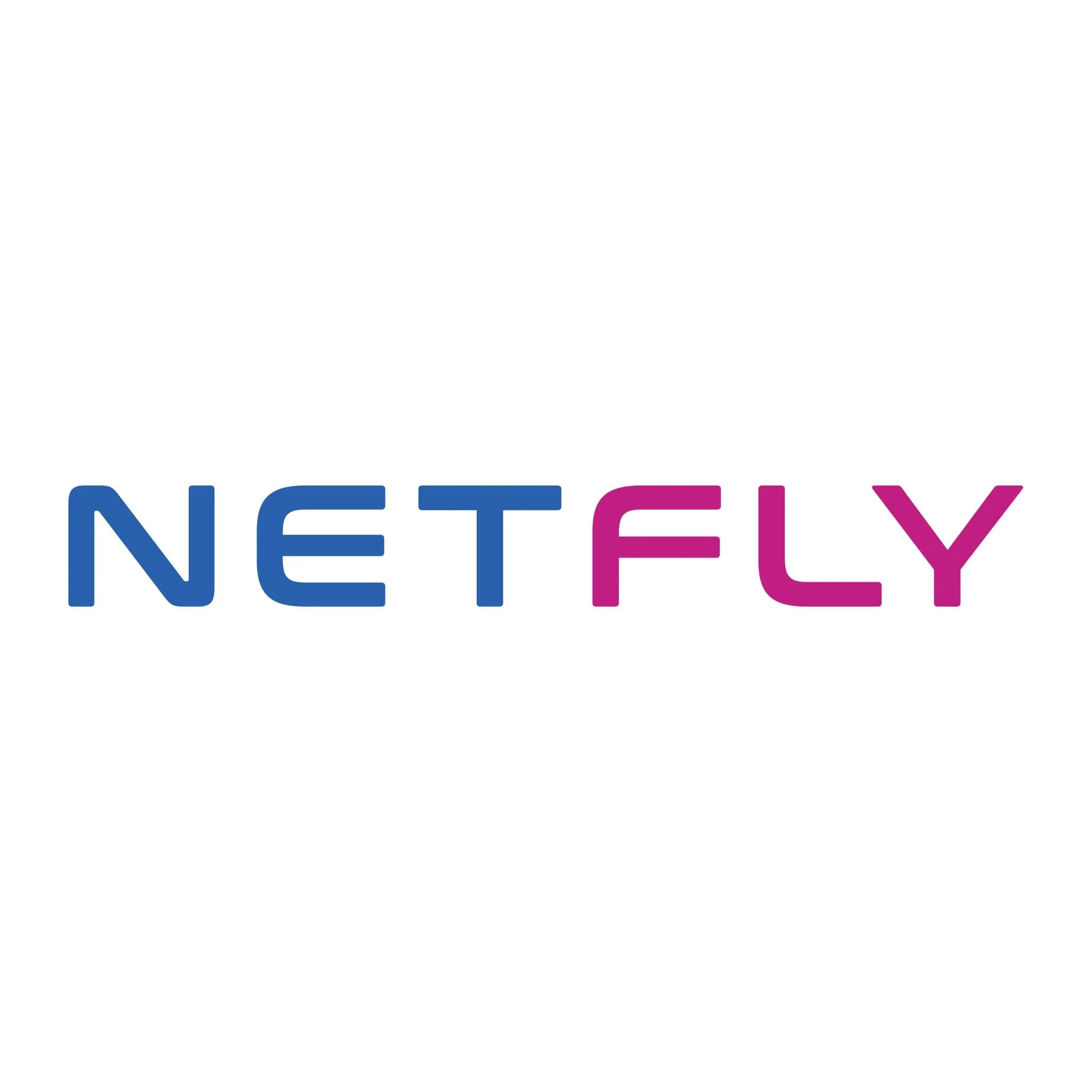 NETFLY Logo