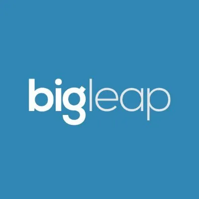 Big Leap Logo