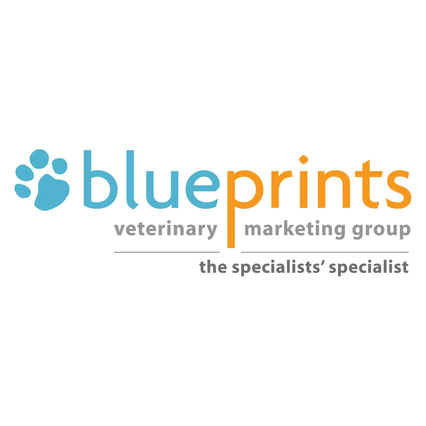 BluePrints Veterinary Marketing Group Logo