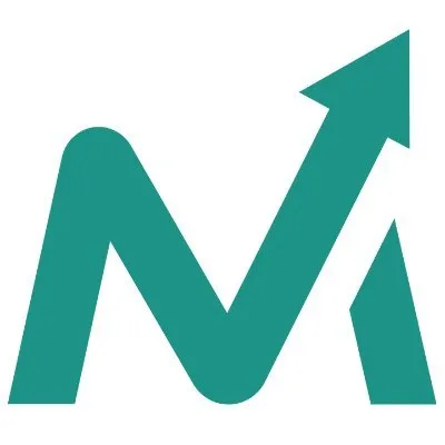 Lead Marketing Strategies Logo