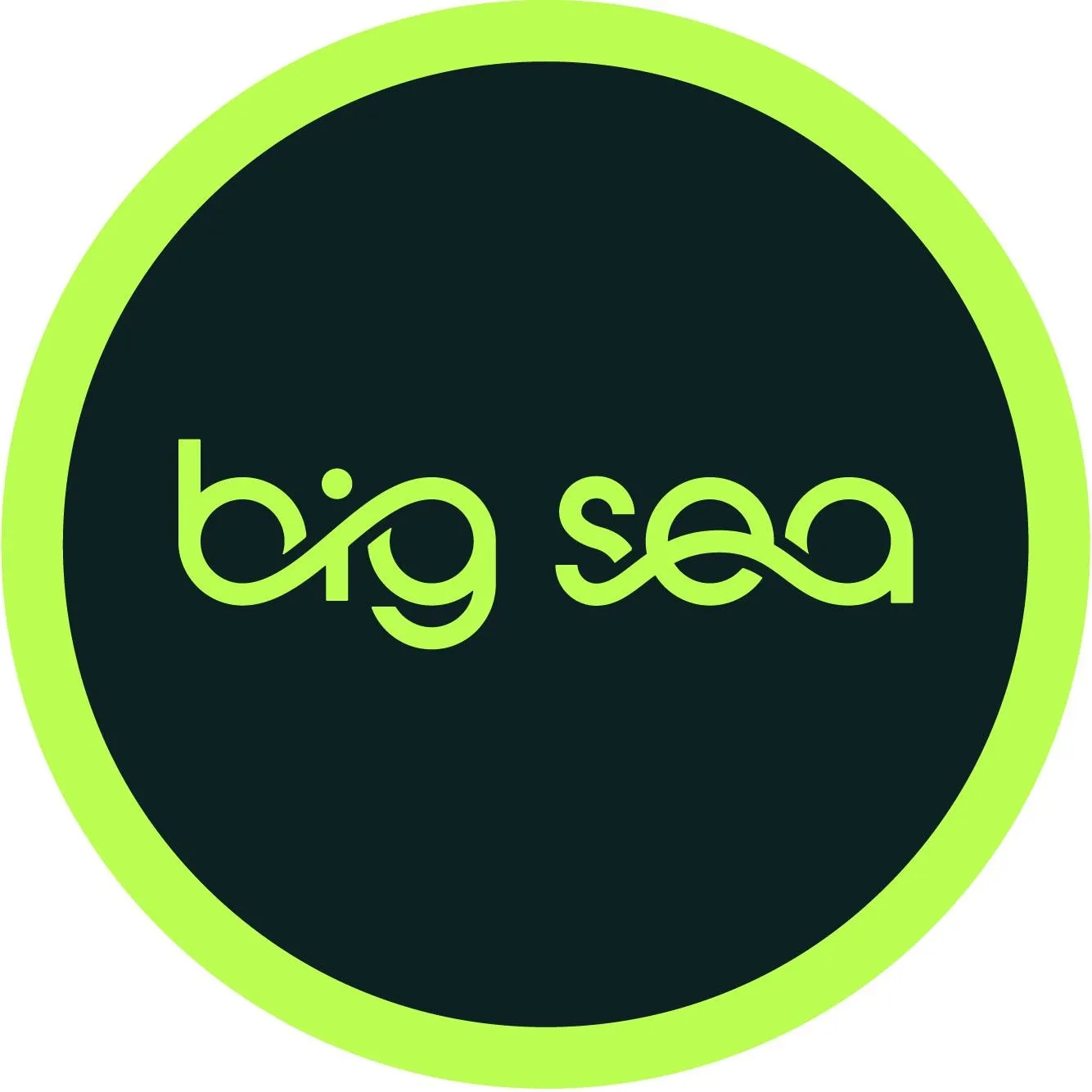 Big Sea Logo