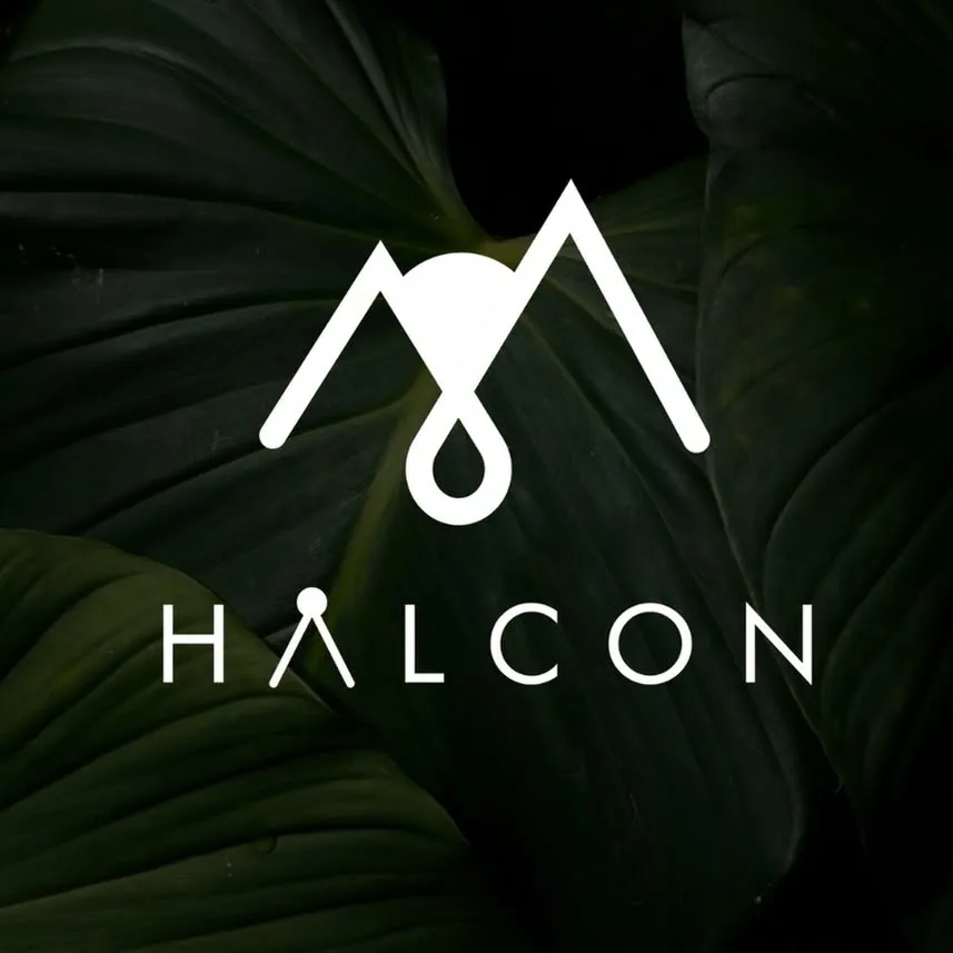 Halcon Marketing Logo