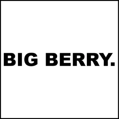 BigBerry Logo