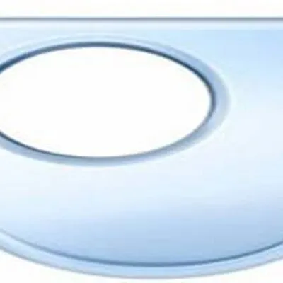 Branding Pioneers Logo