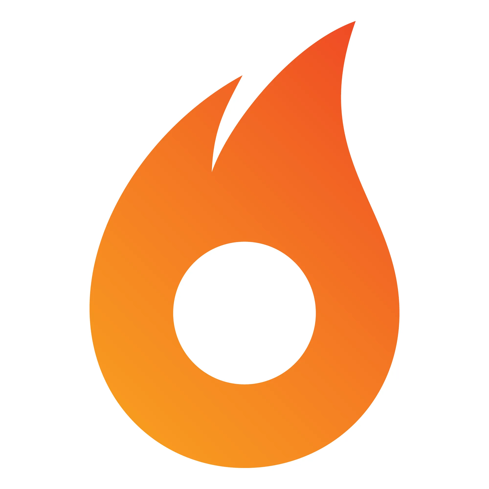 Ignition Digital Marketing Logo