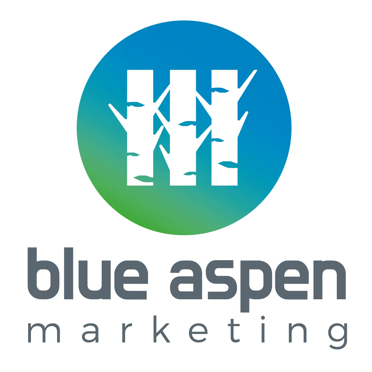 Blue Aspen Marketing Logo