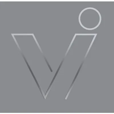Visual Impact Group Logo