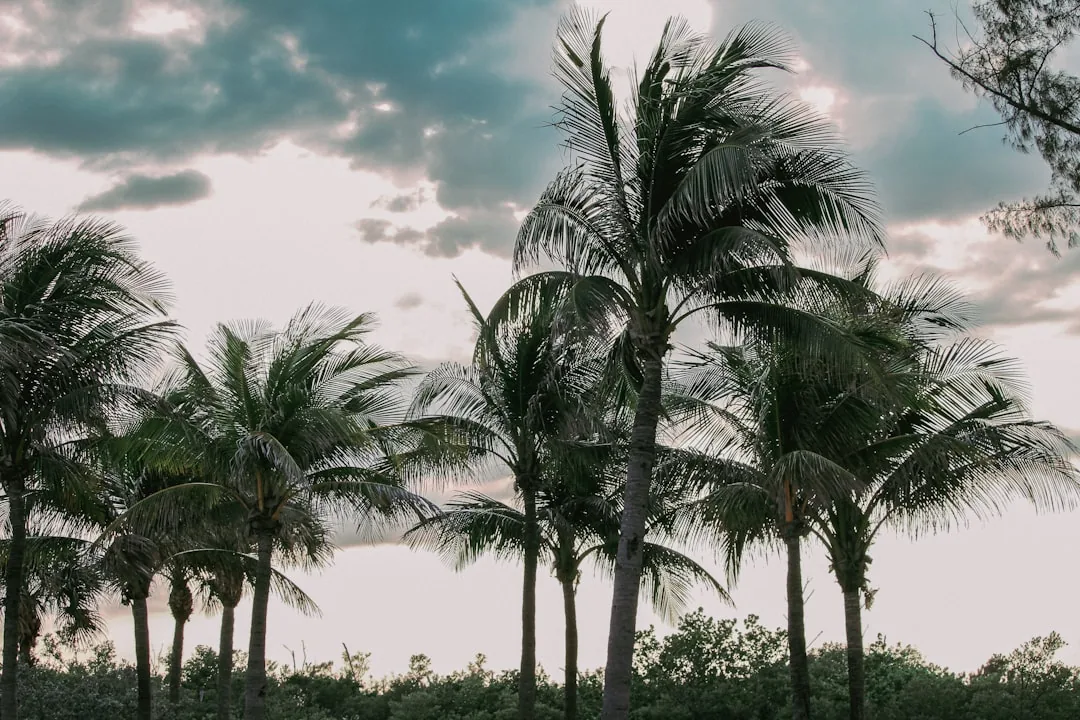 Fort Lauderdale city photo - Web Tonic