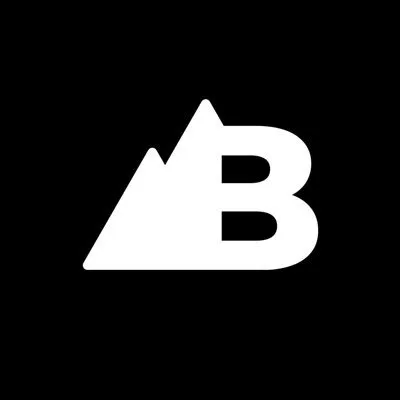 Bern Digital Logo