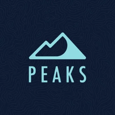 Peaks Digital Marketing Logo