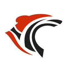Roar Solutions Logo