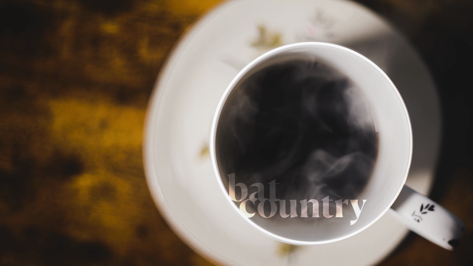 Bat Country Logo