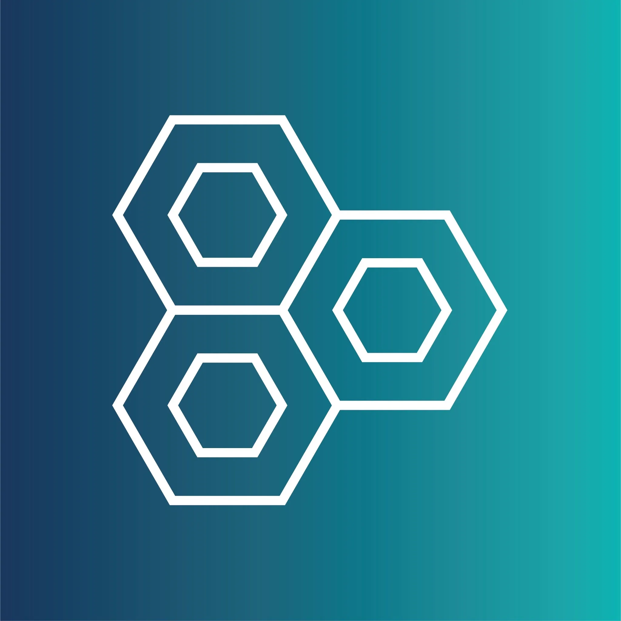 PathOpt Logo
