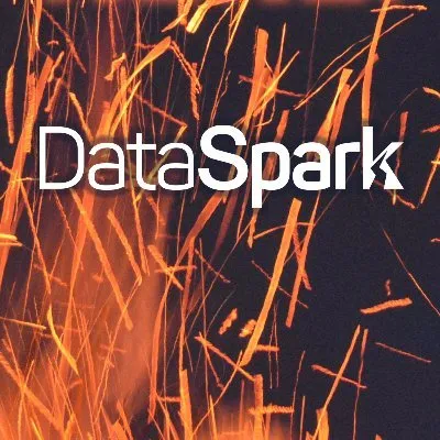 DataSpark Logo