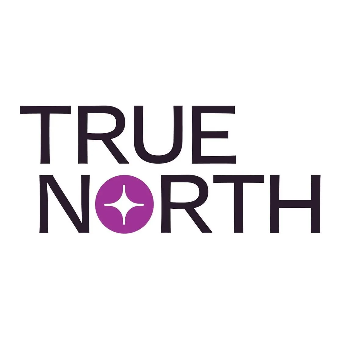 True North Logo