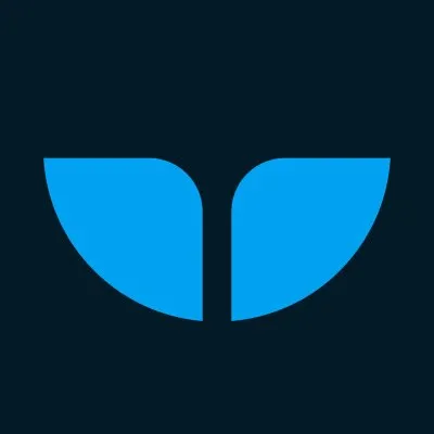 Whalesync Logo