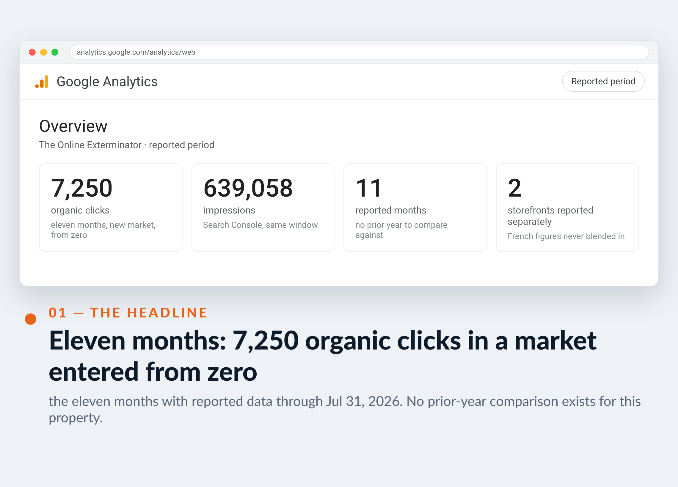 Google Analytics screenshot for The Online Exterminator — Eleven months: 7,250 organic clicks in a market entered from zero